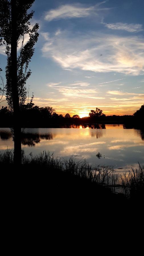 Ferienwohnung Matthisson Ораніенбаум-Верліц Екстер'єр фото